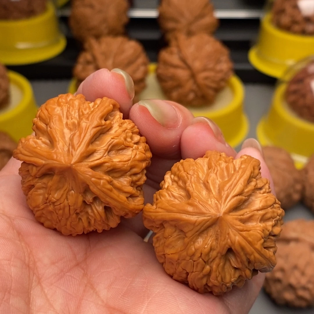 木质类文山三棱一对