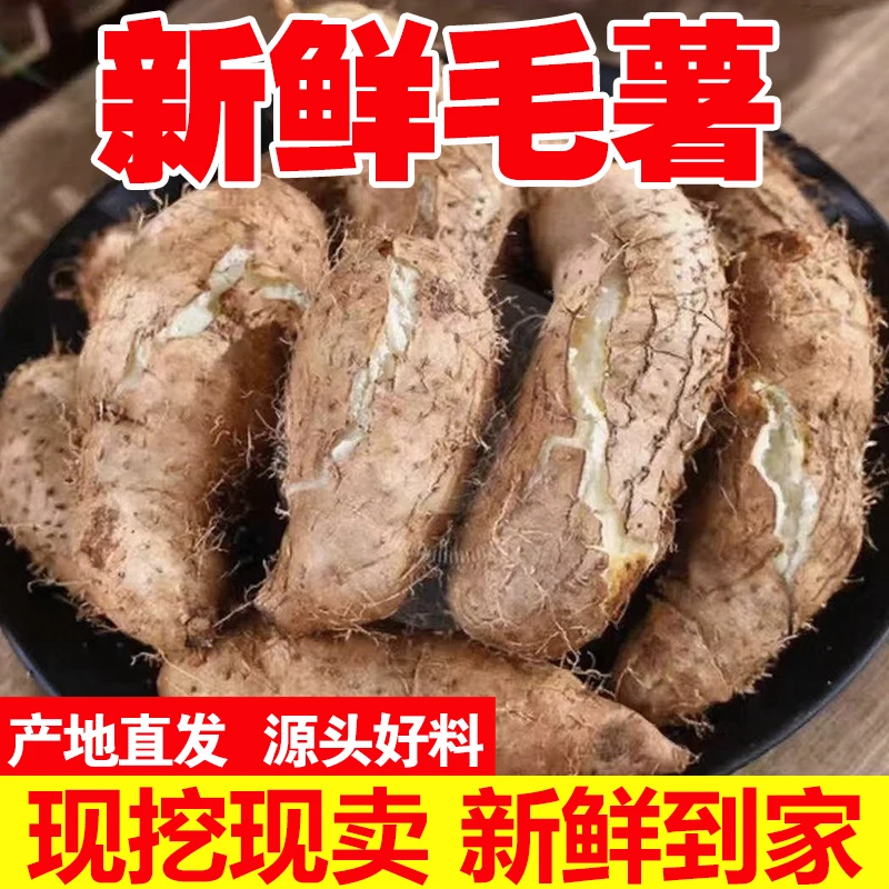 6斤新鲜毛薯甜薯白心淮山药粉糯香脚板薯湛江现挖农家自种粗粮