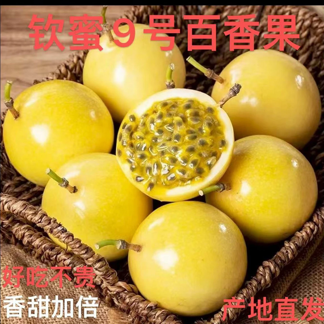 广西百香果黄金水果黄金百香果当季九号香甜现摘新鲜钦蜜