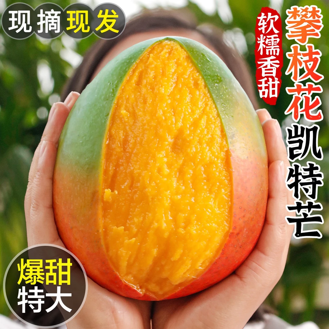【爆甜芒果】四川攀枝花头茬凯特芒青皮大脸芒果新鲜水果现摘现发A