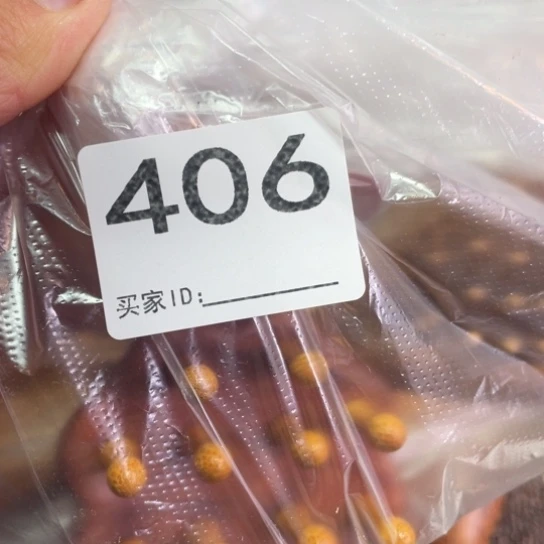 非洲紫檀（红花梨）?*呀
