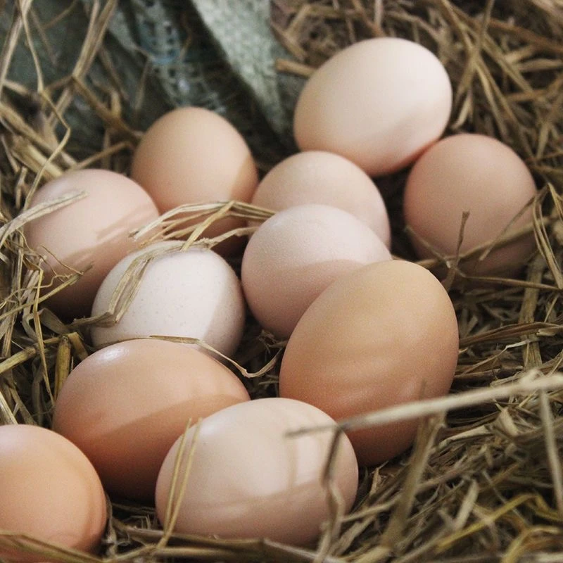 【甄选】苏北农家土鸡蛋散养草鸡蛋30枚
