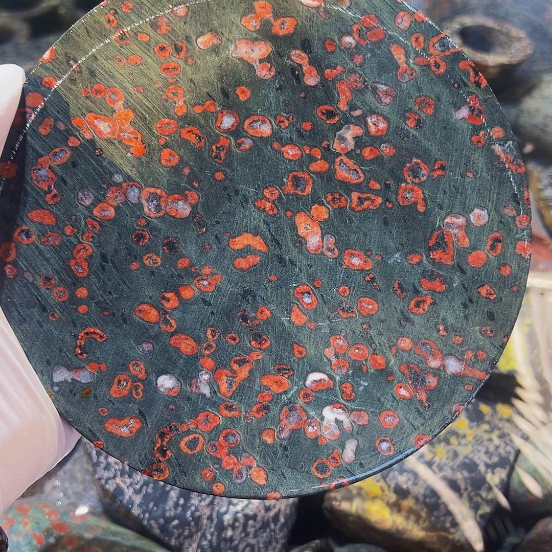 梅花玉鱼缸石茶周边不退不换