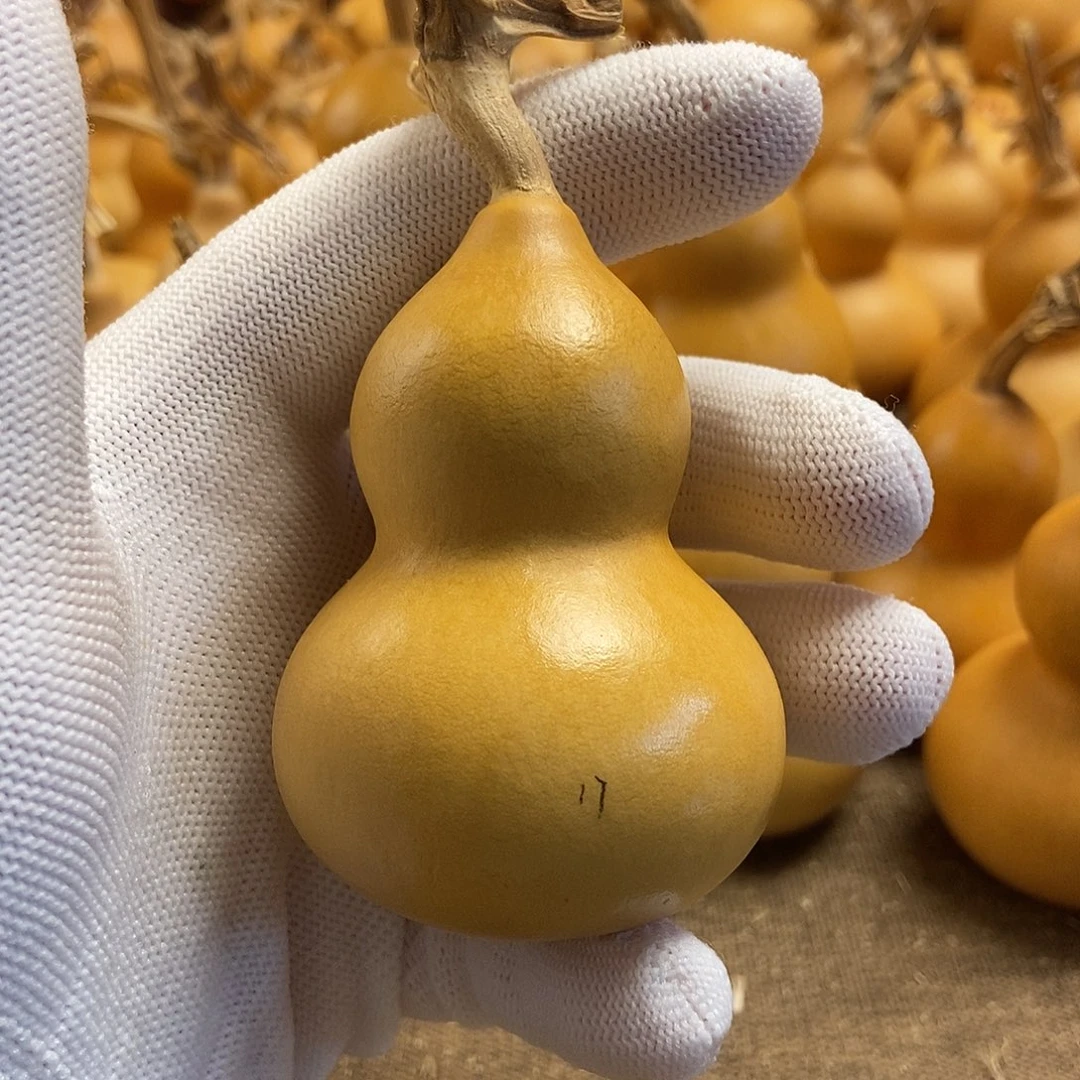 文玩葫芦 完美主义者 慎拍17