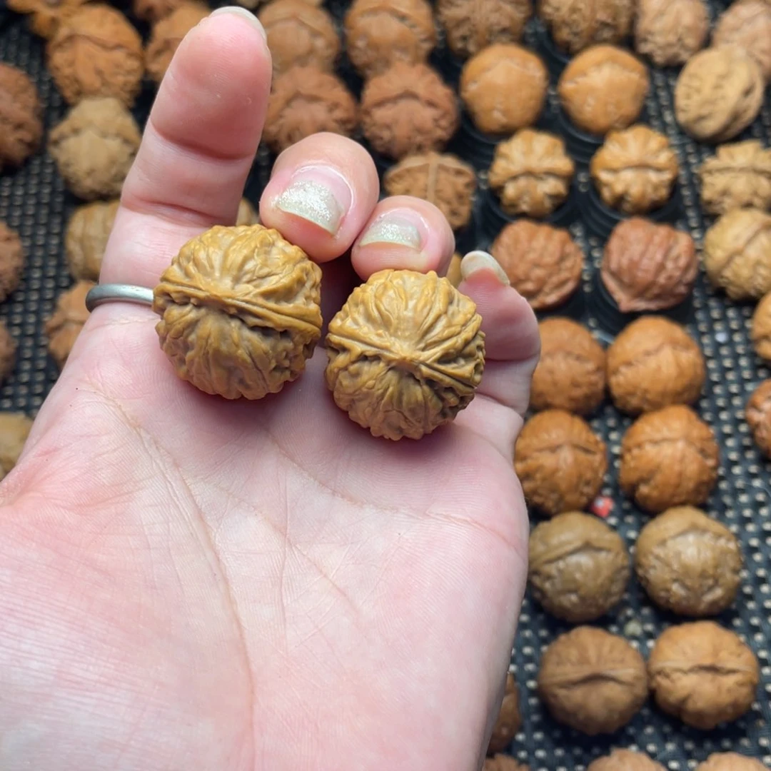 黄***的文玩把件野生小黄豆