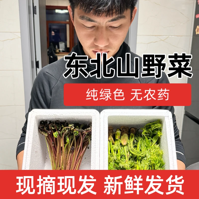 东北山野菜 刺嫩芽 猴腿 现摘现发 新鲜发货