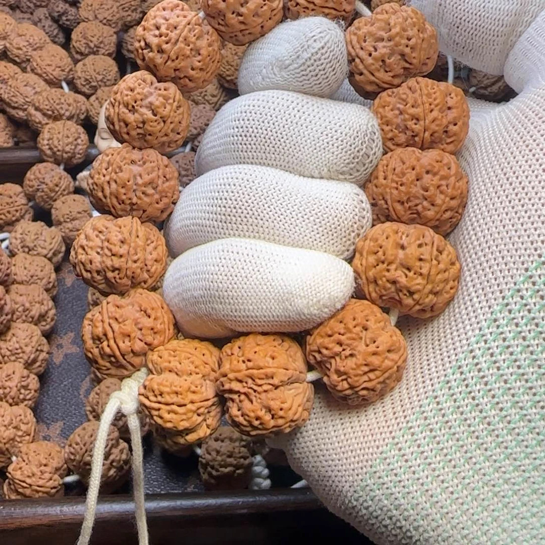 菩提金刚菩提23超头梅花