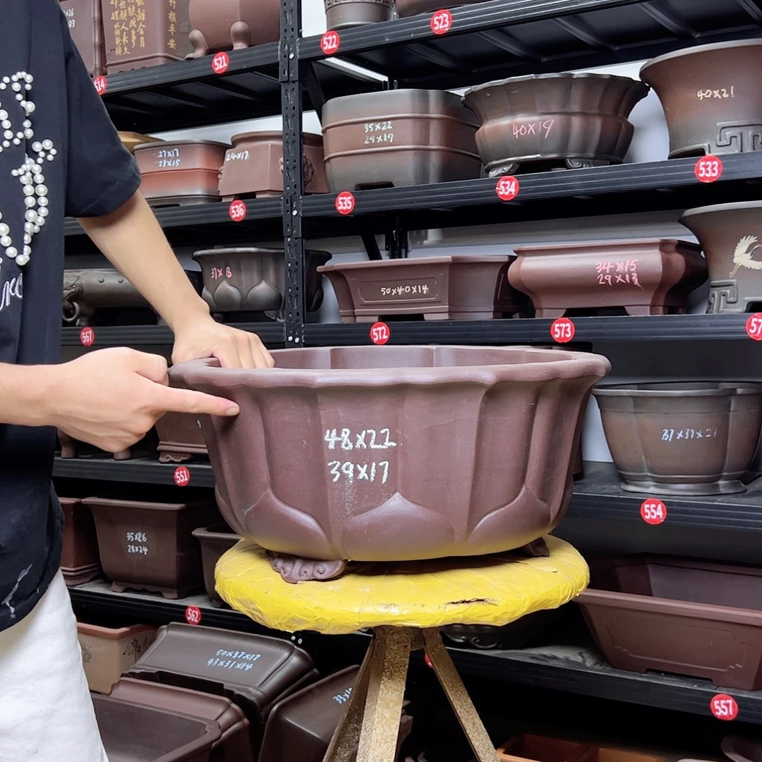 紫砂其他呜呜呜呜