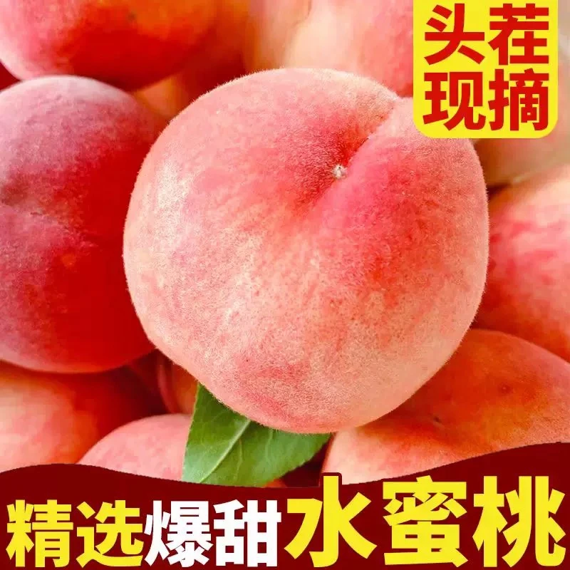 【脆蜜桃】红不软脆桃新鲜现摘水蜜桃鲜甜多汁脆吃应季水JJ