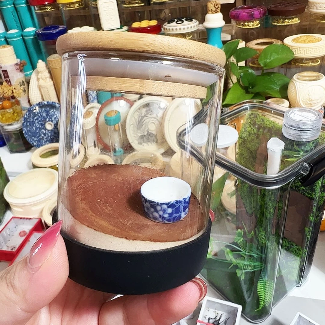 飞***燕罐子两个哈哈哈哈哈