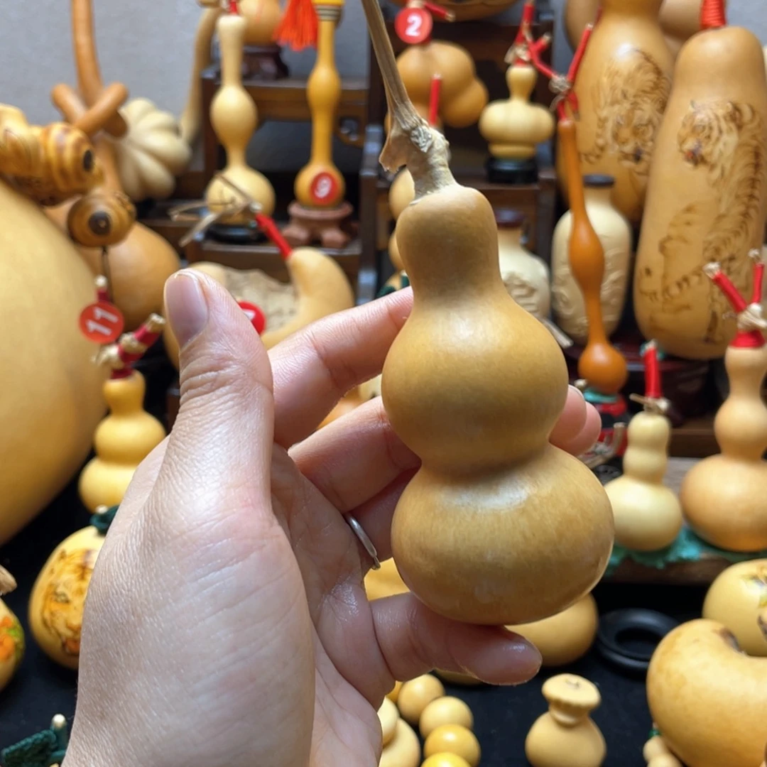 欣*大自然的秘密第十一节你是