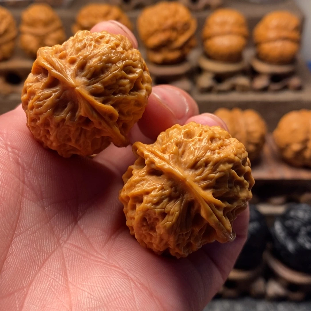 文玩核桃把件珊瑚绣球38尺寸