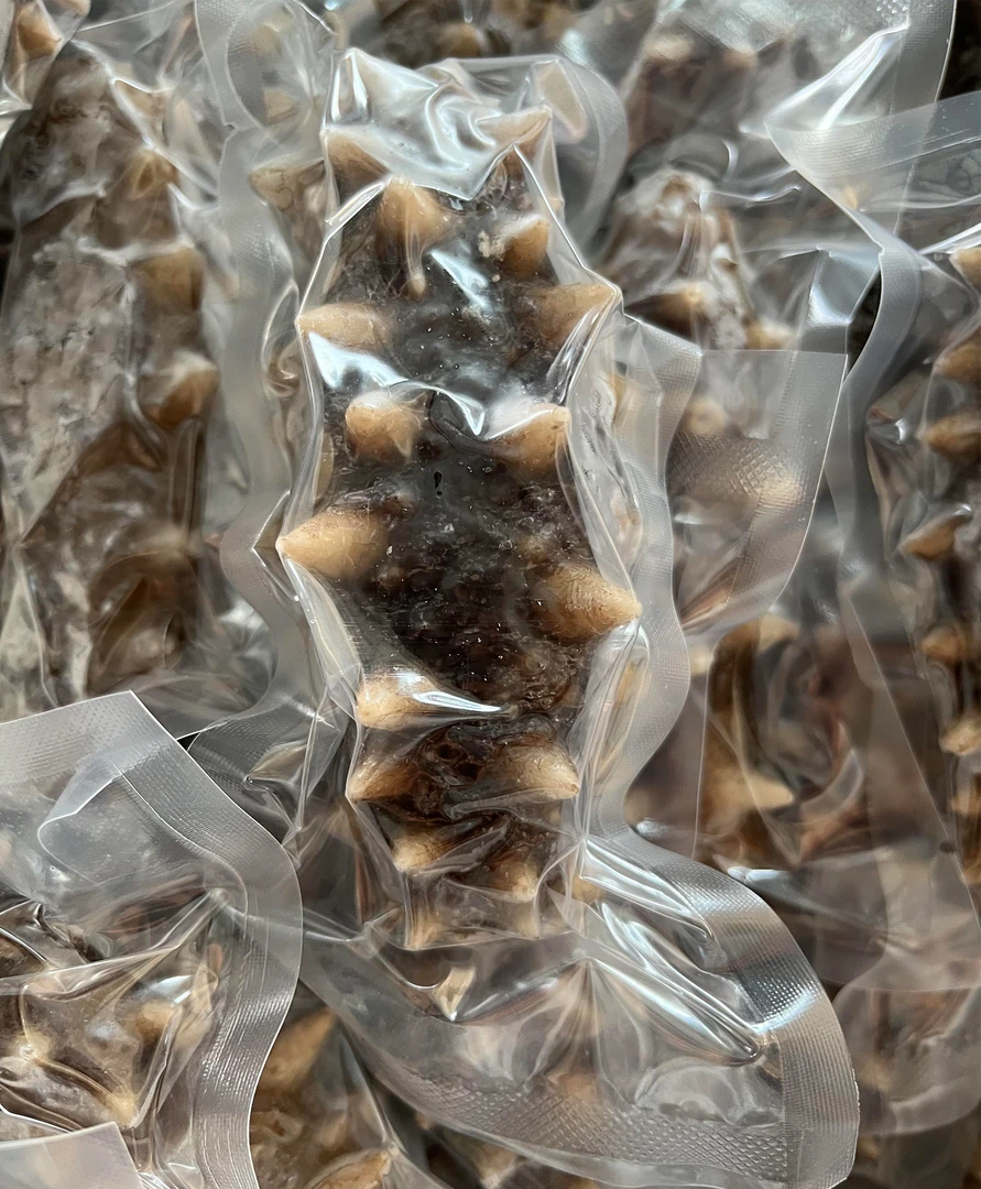 熟【纯水发即食海参】大连长海县深海辽刺参