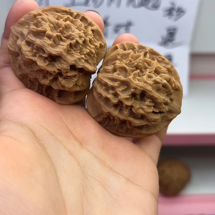 帝王44尺 全品无修