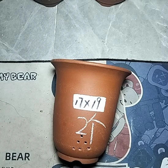 红泥小金钟两个花盆