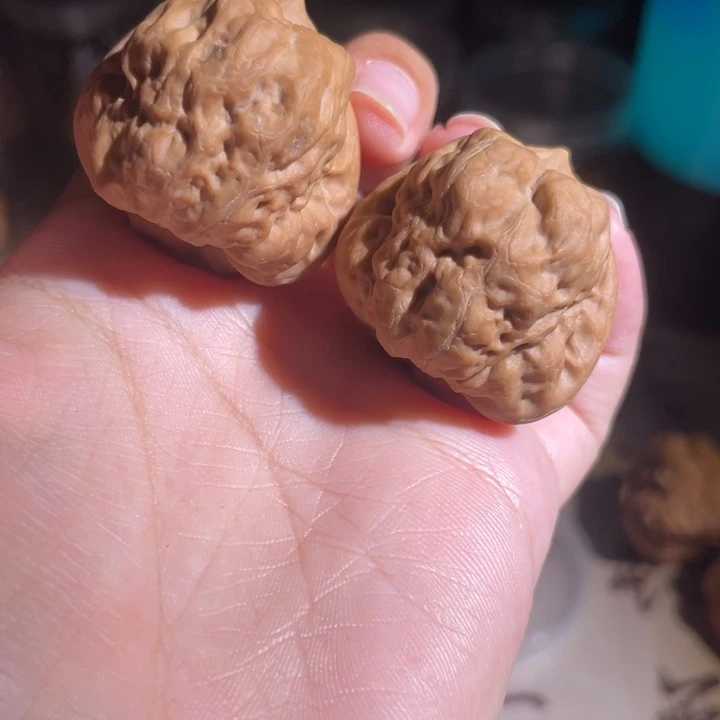古蝉 38888888878