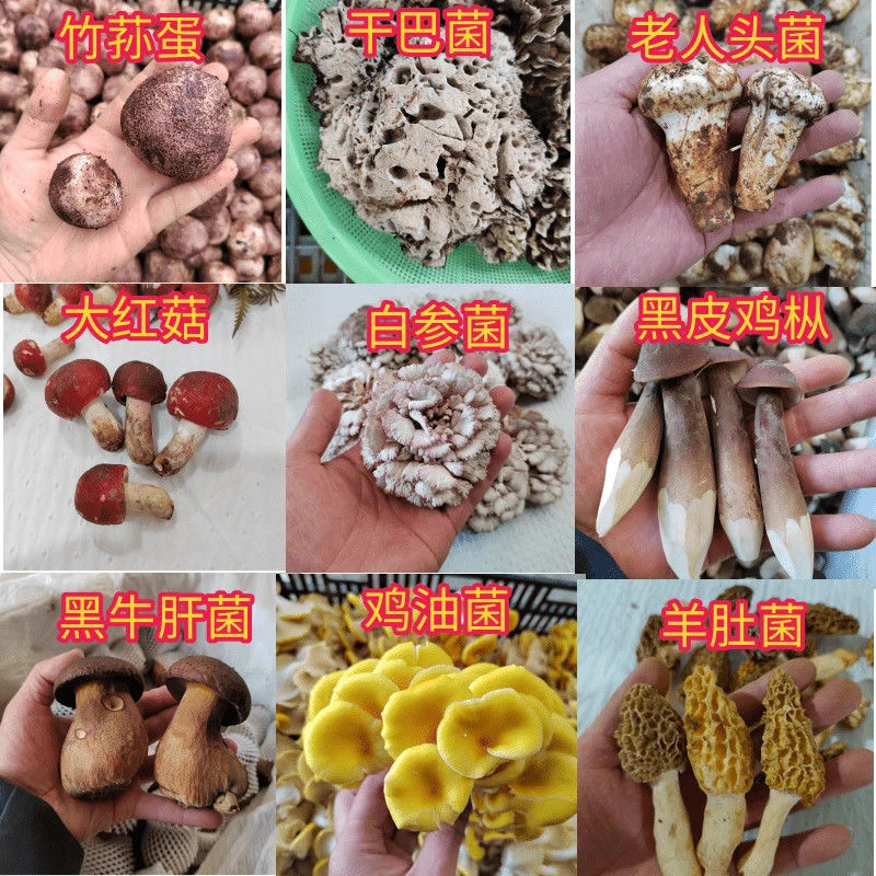 边境山货健康天然~代拍链接