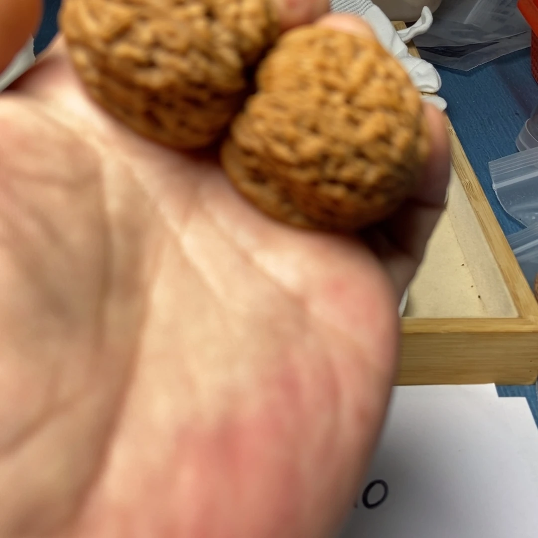 文玩核桃把件8号核桃