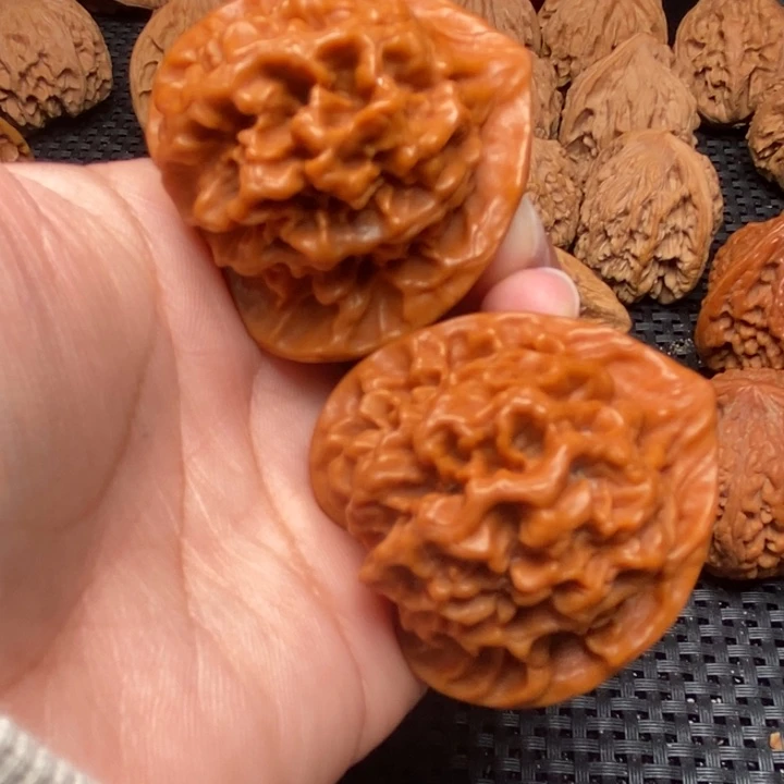 秦岭野生00000043