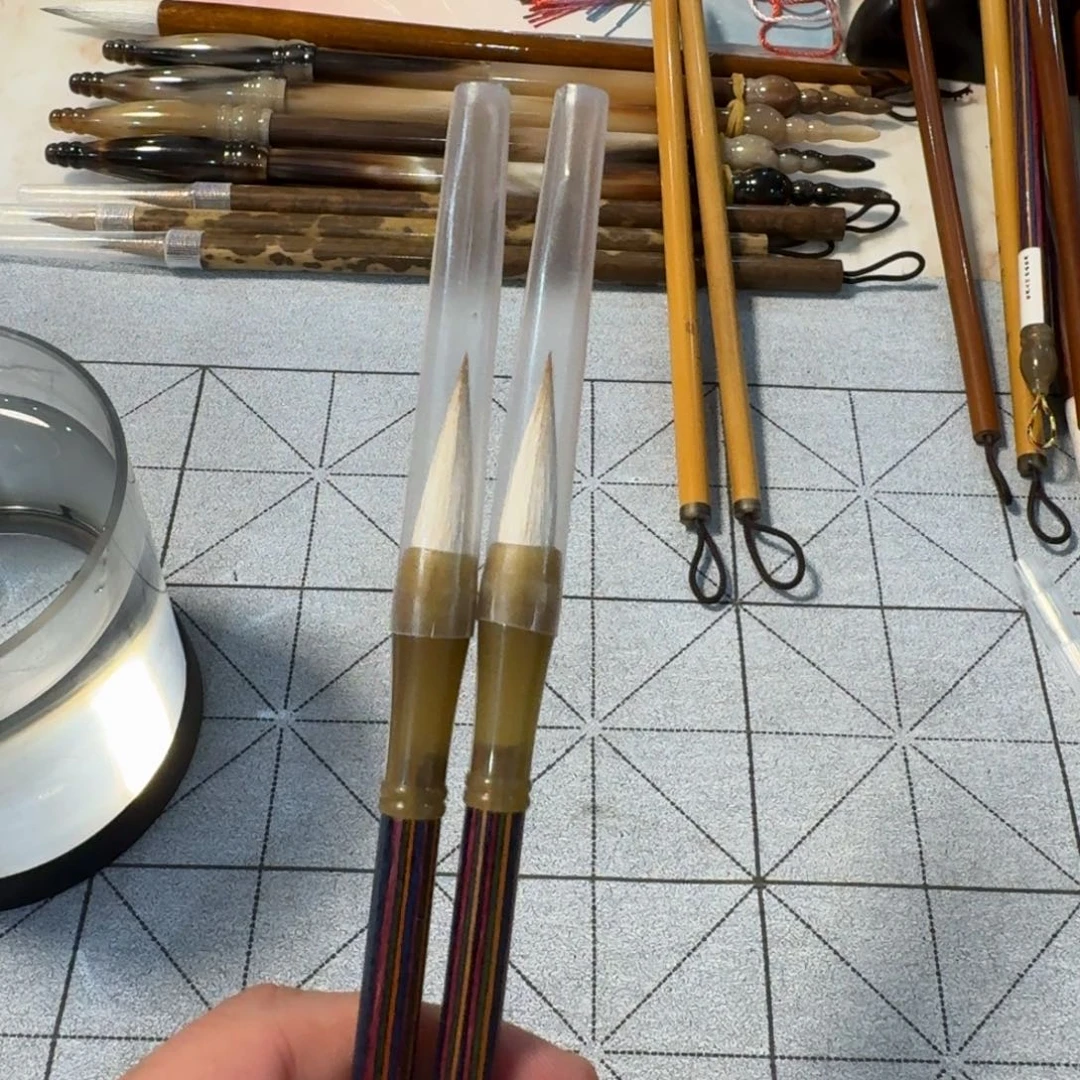 七色花两支出锋2.5cm