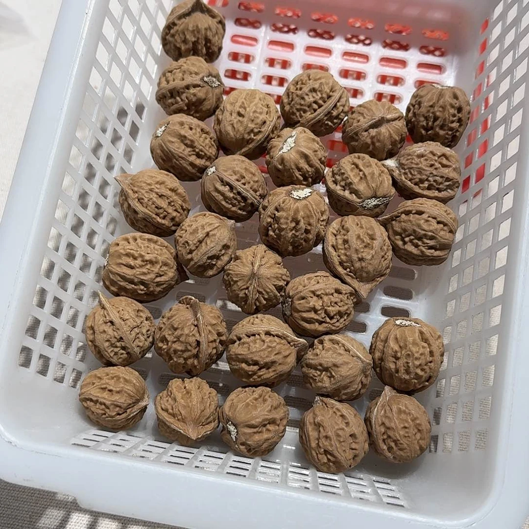 核桃手串/手链24号粗筋八楞