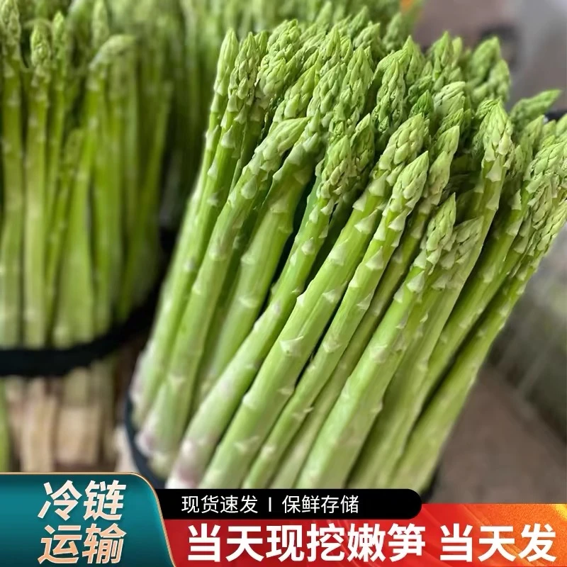 国企助农新鲜芦笋农家青笋包邮春笋雷笋去根现采现发新鲜蔬菜竹笋