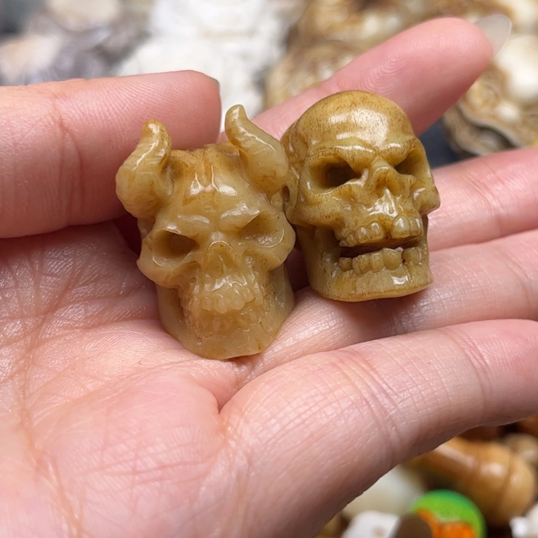 其他鹿骨人工养殖鹿角18