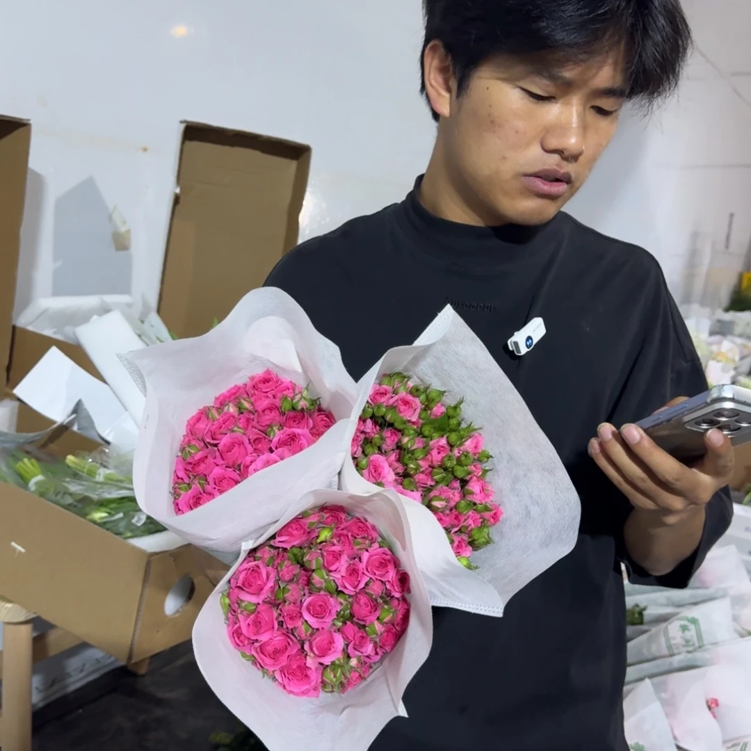 苏菲3扎包邮价秒杀