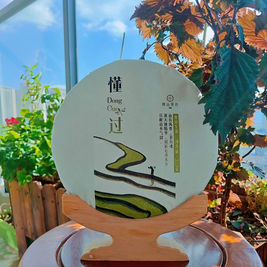 【绿懂过】｜2025年头春古树 • 357g/饼 • 云南普洱生茶