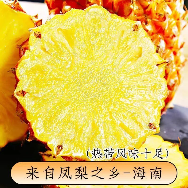 凤梨 鲜嫩多汁20元/3个 (单个2斤左右) 凤梨海南省
