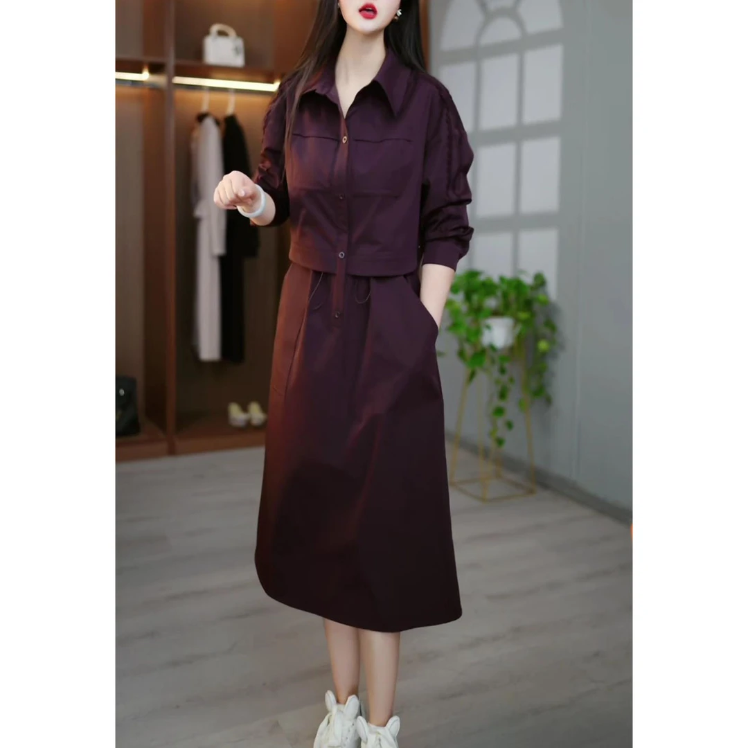 时尚简约中长款连衣裙2025春季新款气质宽松显瘦休闲百搭翻领裙子