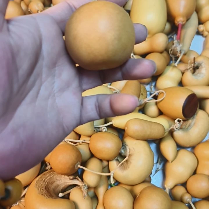 靠***光苹果苹果苹果苹果