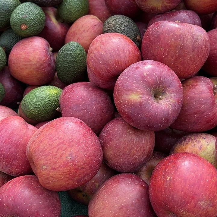 中国大陆丑苹果5斤