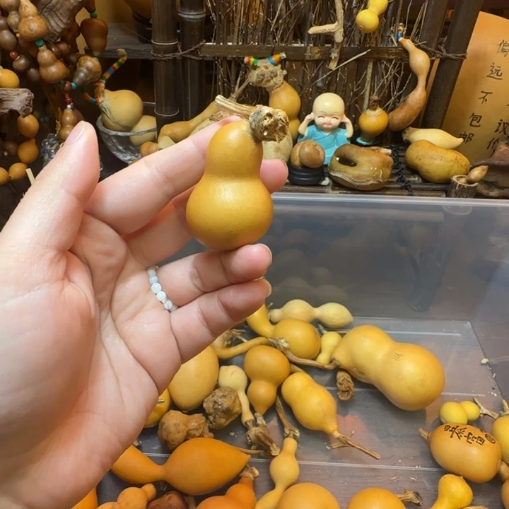 '**•小猪天然葫芦葫芦葫芦