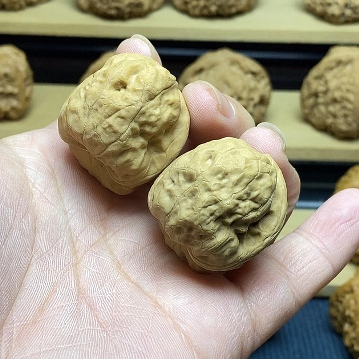 核桃31古蝉福利核桃