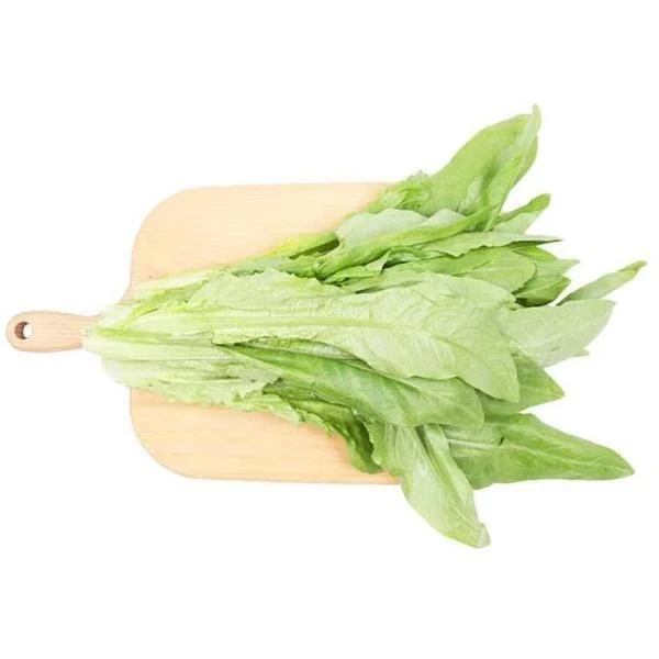 新鲜油麦菜300g±5g/份绿色蔬菜