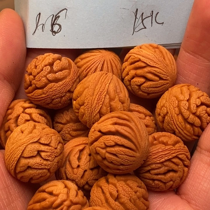 吊坠桃核秦岭龙纹桃核16尺寸