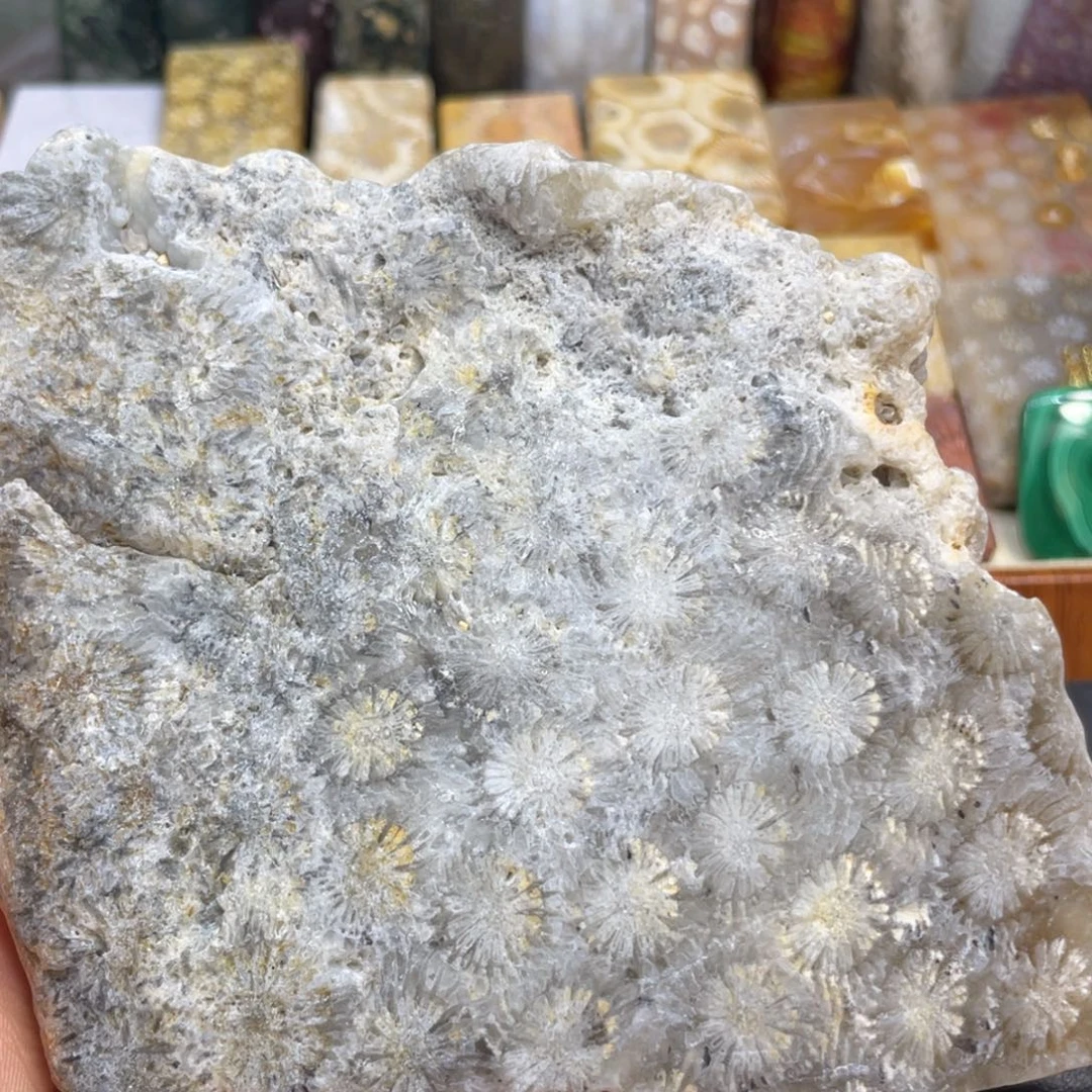 硅化玉未镶嵌颈饰k6