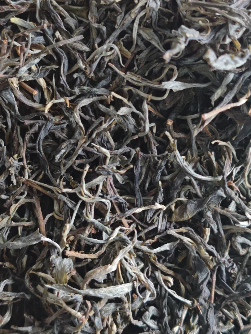 【茶农直供】  2025年落水洞古树挑采   普洱茶   生茶  春茶