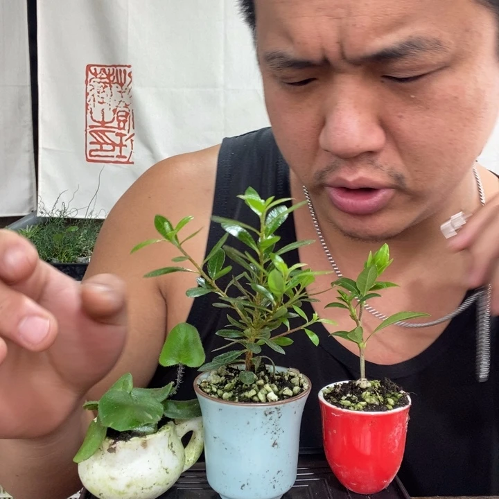 哈****玲一物一拍所见即所得222