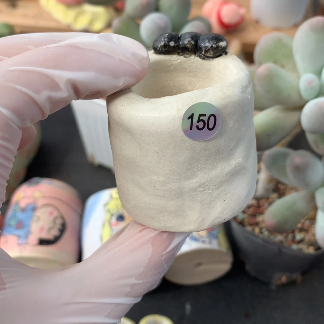 花盆哈哈哈哈哈哈哈哈哈150