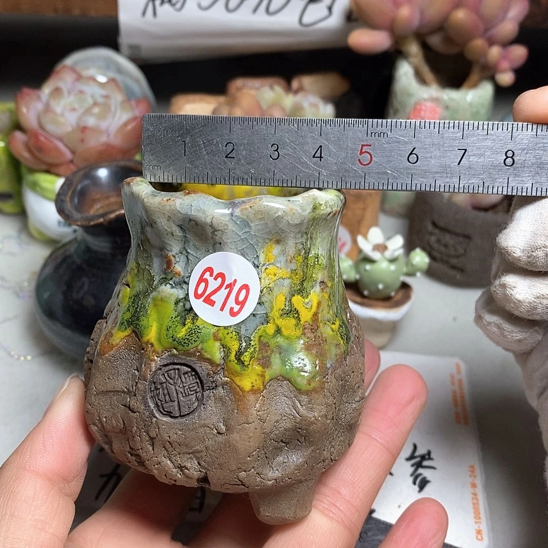 红陶拍5送一个小