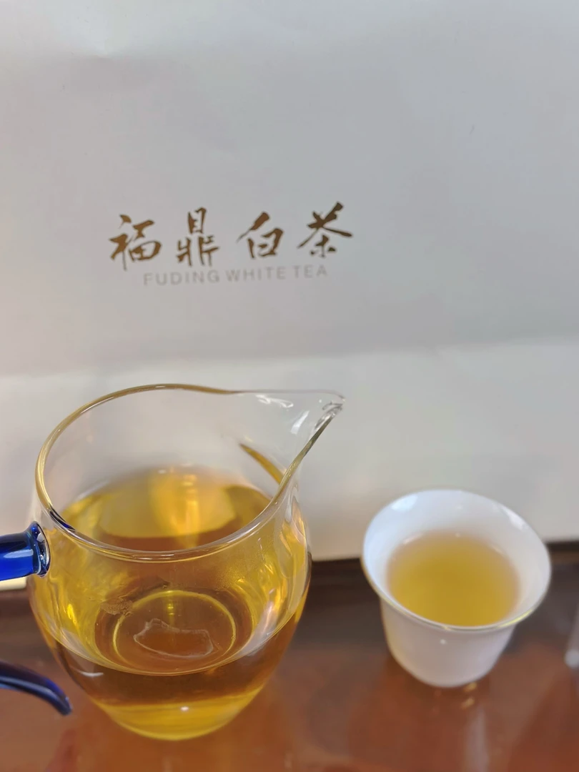 【福鼎白茶供应链】口粮茶 2019年 白牡丹 250g/500g
