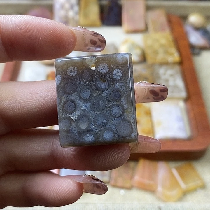 硅化珊瑚（珊瑚玉）未镶嵌颈饰
