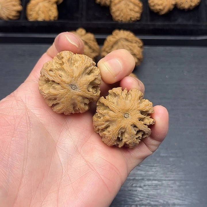 男***⁶核桃秦岭突突突突突突