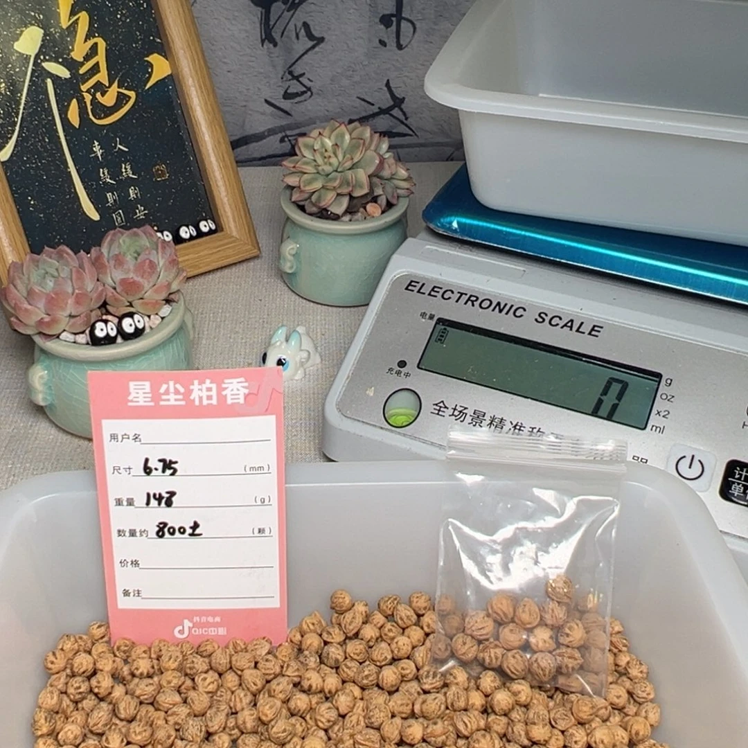 吊坠柏香籽/百香籽