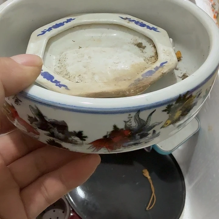 给***笑扇子 宝贝哈哈哈哈哈哈好不好哈哈