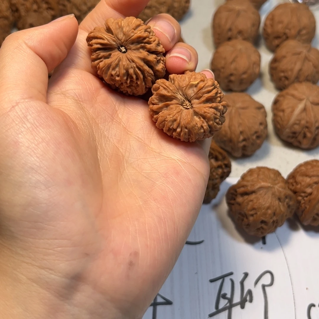 成***旭大叶紫檀（黑酸枝木类）