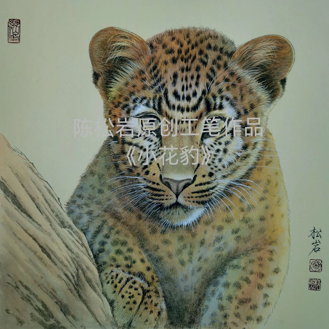 《小花豹》工笔课 共21讲  陈松岩原创作品课程