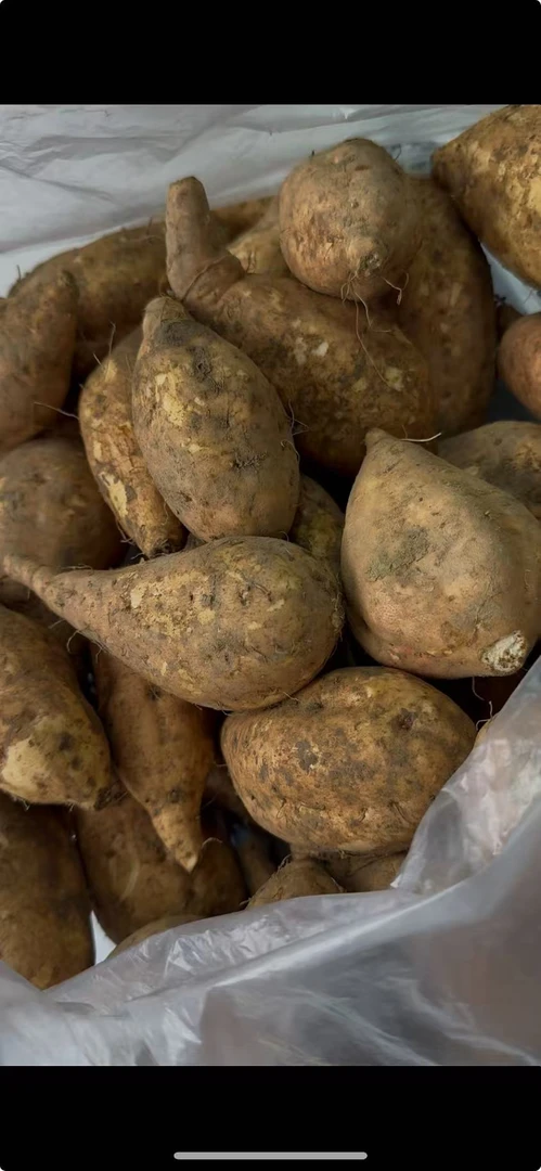 牛街南脆苕 黄心 当季农产品